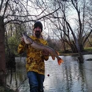 Meet your Posher, Timmy